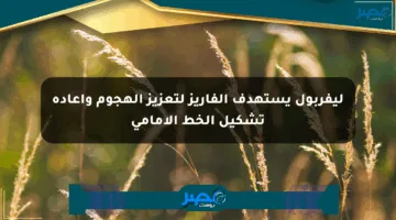 ليفربول يستهدف ألفاريز لتعزيز الهجوم وإعادة تشكيل الخط الأمامي